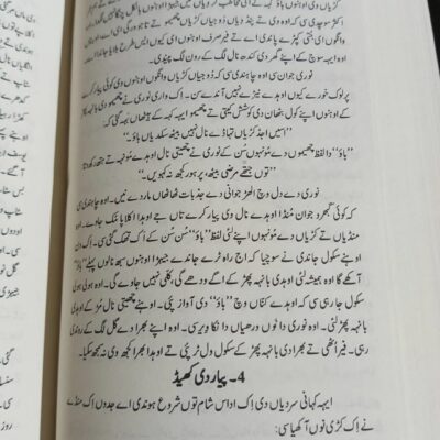Aghwai Punjabi for CSS by Professor Wasif Latif - Image 4