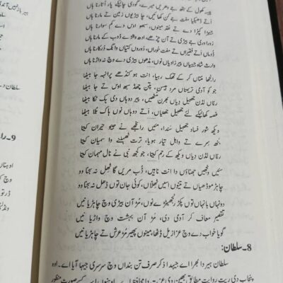Aghwai Punjabi for CSS by Professor Wasif Latif - Image 7