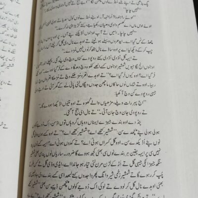 Aghwai Punjabi for CSS by Professor Wasif Latif - Image 8