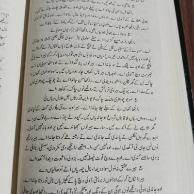 Aghwai Punjabi for CSS by Professor Wasif Latif - Image 9