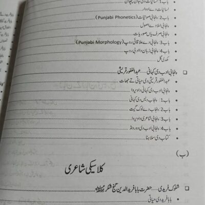 Mozooi Punjabi Punjab Rang by Qamar Husnain Qadri JWT - Image 3