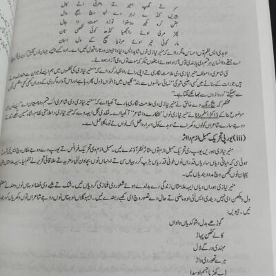 Mozooi Punjabi Punjab Rang by Qamar Husnain Qadri JWT - Image 8