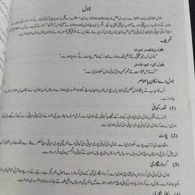 Mozooi Punjabi Punjab Rang by Qamar Husnain Qadri JWT - Image 9