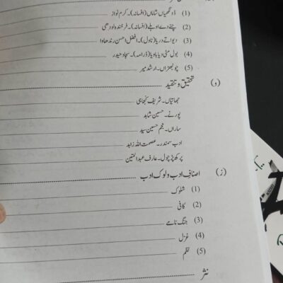 Punjabi Punjab Rahtal by Hafiz Musab Umair NOA - Image 3
