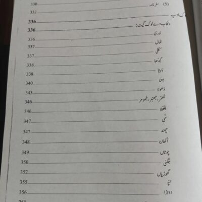 Punjabi Punjab Rahtal by Hafiz Musab Umair NOA - Image 4
