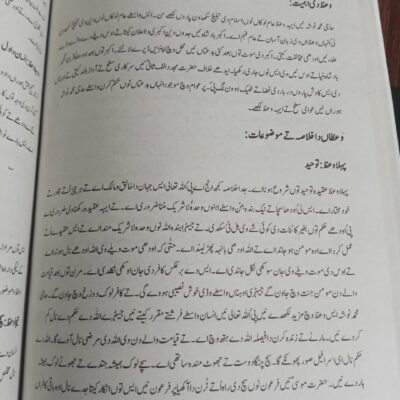 Punjabi Punjab Rahtal by Hafiz Musab Umair NOA - Image 6