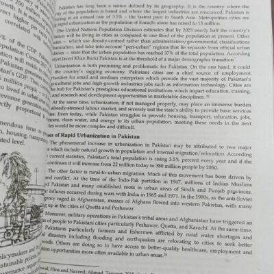 Understanding Sociology by Iqra Riaz JWT - Image 16