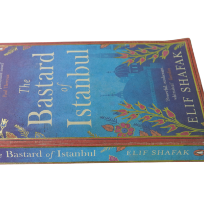 The Bastard Of Istanbul By Elif Shafak - Image 3