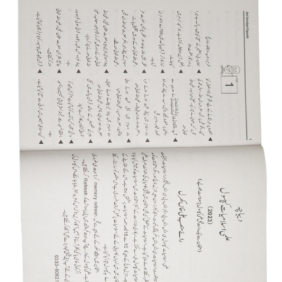 Capsule Islamiyat By Rai Mansab Ali - Image 3