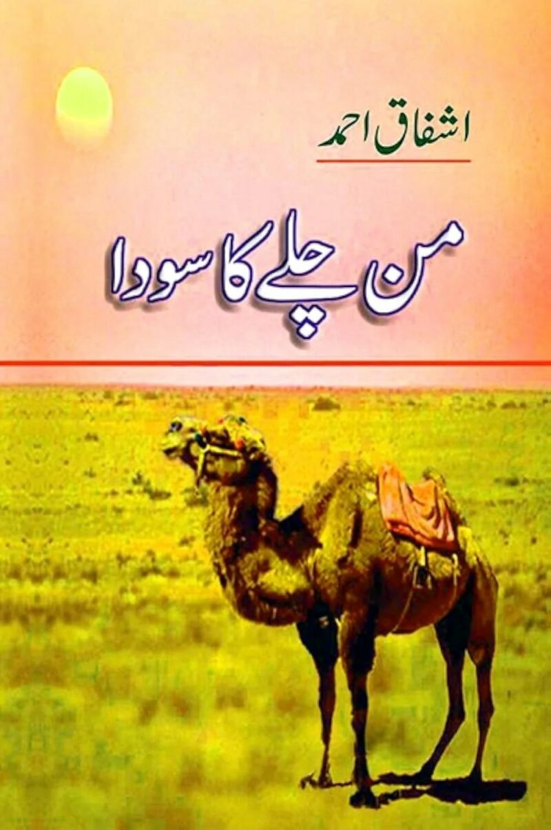 Mann Chalay Ka Sauda / __ ___ __ ____ BY Ashfaq Ahmed